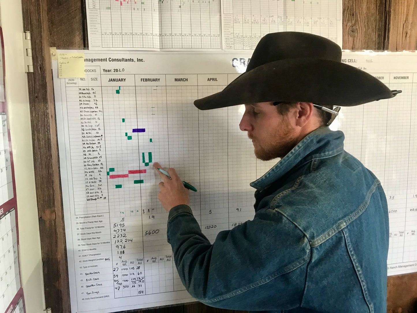 Laminated StockFlow and Grazing Charts